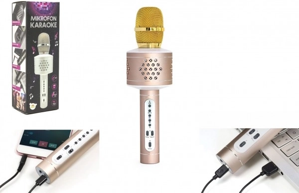 Karaoke mikrofón Bluetooth so zvukom a efektom echo – Zlatá