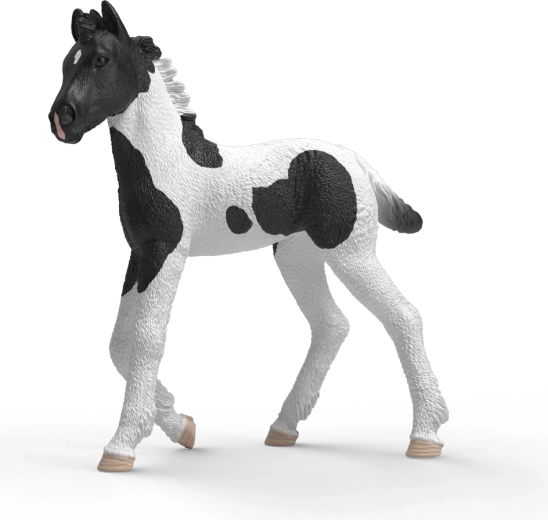 Schleich Horse Club zberateľské žriebä Rocky - 1 kus