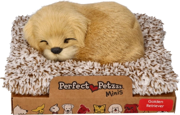 Štekajúci zlatý retríver na peliešku