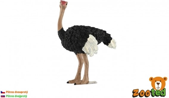 Realistická plastová figúrka Pštros