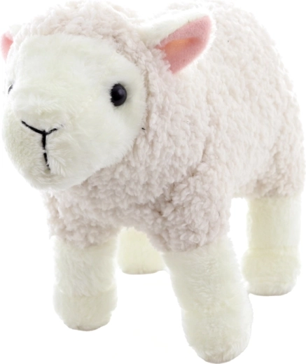 Ľahká a skladná na doma aj na cesty