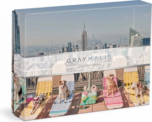 Puzzle Gray Malin psy v New Yorku 1000 dielikov