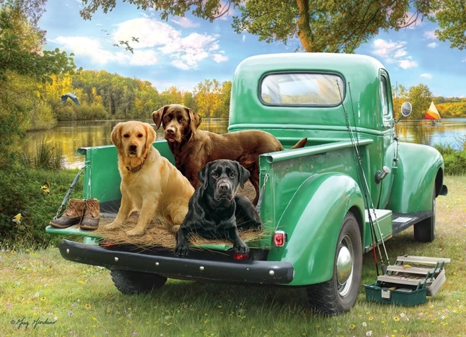 Cobble Hill Puzzle Poďme Rybáriť 500 Dielikov