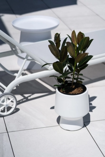 Chytrá vkladacia vložka pre zdravé korene