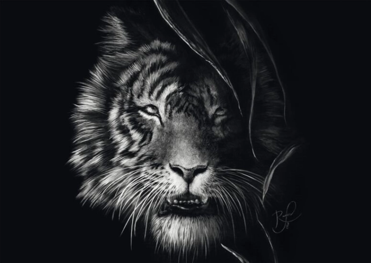 Schmidt puzzle Divokosť tigra – stelesnenie slobody 1000 dielikov