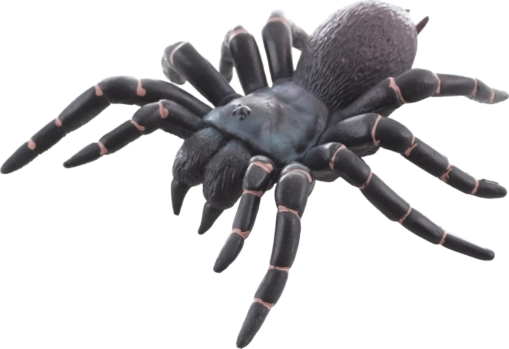 Ideálne na učenie aj dekoráciu