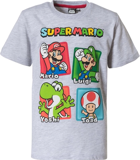 Obľúbení hrdinovia Super Mario
