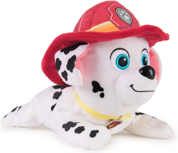 Verný hasičský vzhľad z Paw Patrol