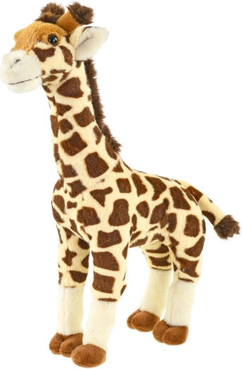 Stojace prevedenie, ideálne do izbičky