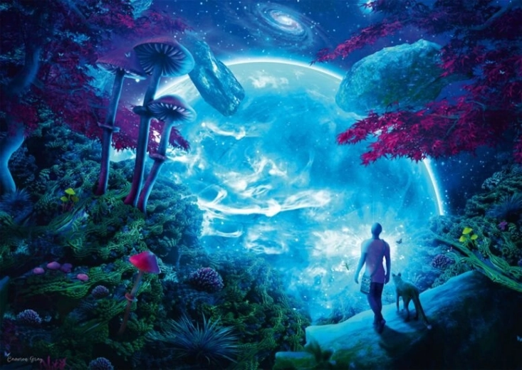 Schmidt puzzle Nebeská obloha 1000 dielikov