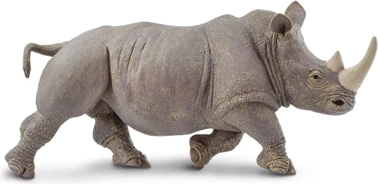 Učenie hrou o prírode Afriky