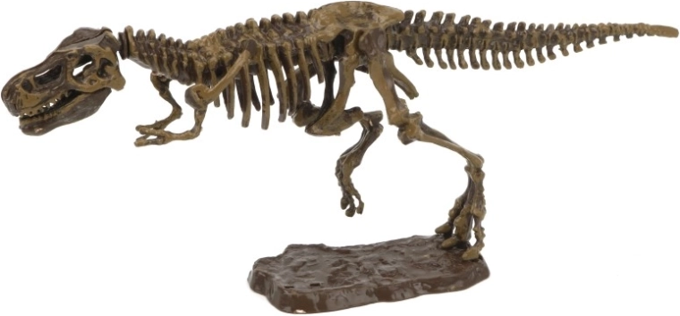 Archeologická sada 3D tyranosaurus