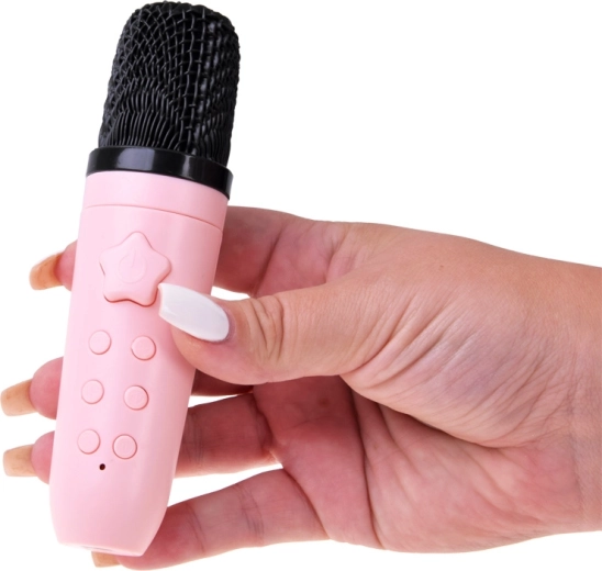 Karaoke mikrofón s ovládaním a zmenou hlasu