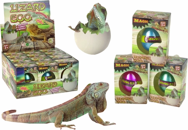 Magické liahnuce sa vajíčko – rastúca jašterica 6 cm