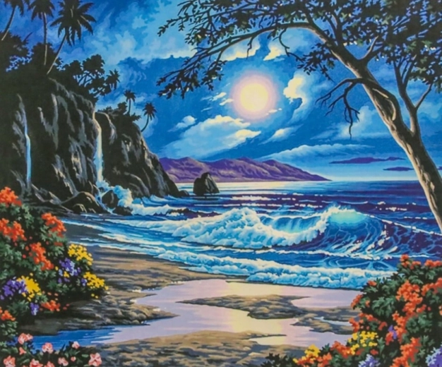 Norimpex Maľovanie podľa čísel Raj v noci 40 × 50 cm