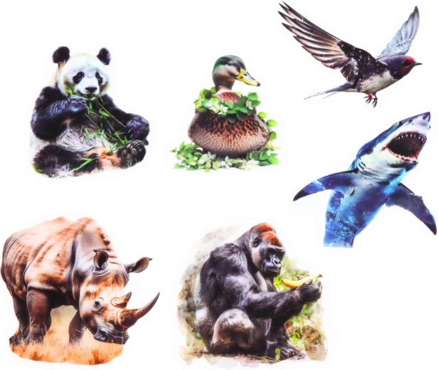 Priehľadné pozadie pre čistý vzhľad