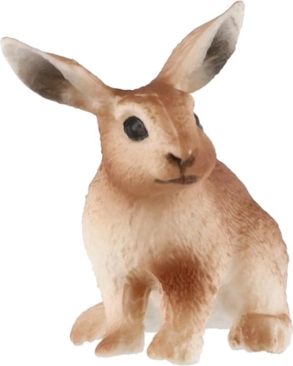 Kompaktná veľkosť 6 cm