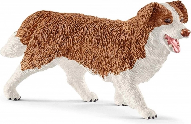 Starostlivosť o miláčikov so sučkou Ruby