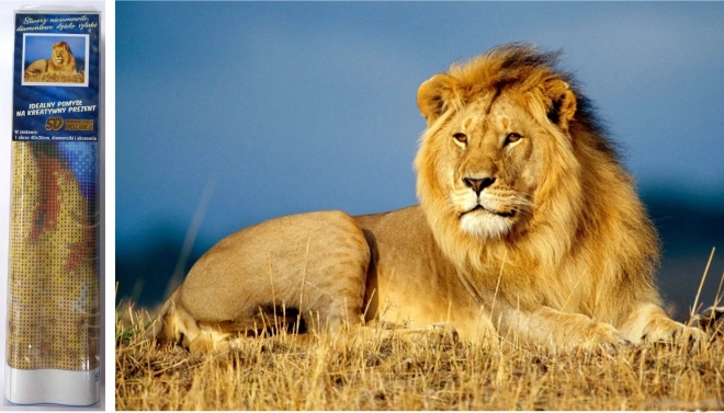 Diamantové maľovanie Levie veľkoleposť 30x40 cm