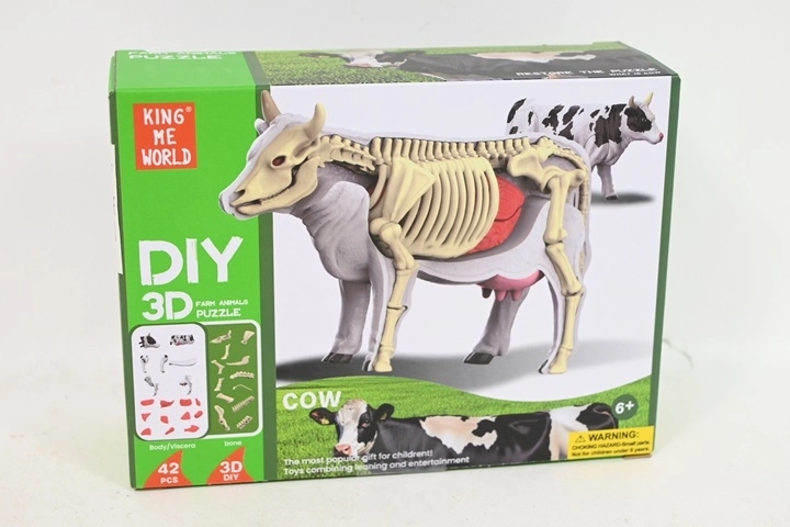 Anatomický model kravy pre deti