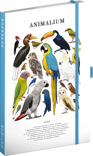 Notique Notes Animalium – vtáčí linajkovaný zápisník 13 × 21 cm