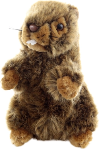 Eco-friendly spracovanie