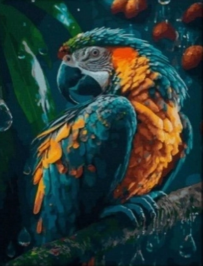 Diamantové maľovanie Papagáj 30x40 cm