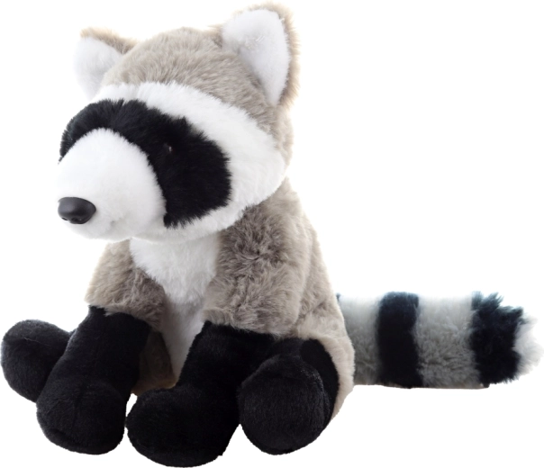 Realistické detaily mývala