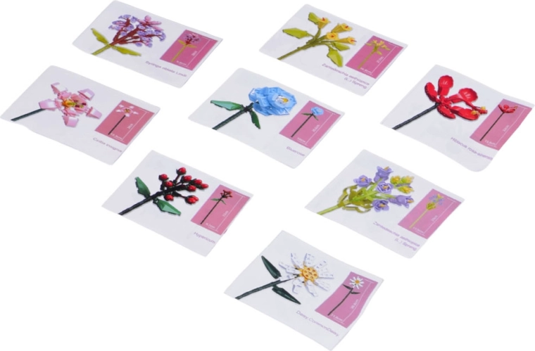 Krok za krokom pre každý kvet