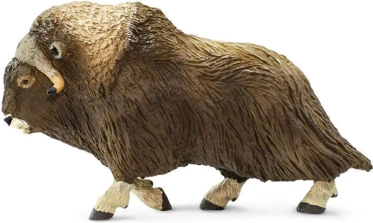 Safari Ltd. pižmoň severný figúrka