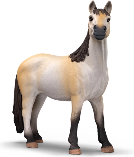 Krásna kobylka mustanga