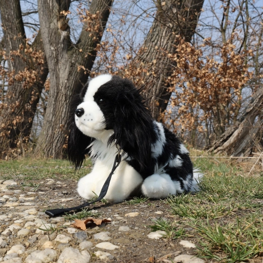 Vodítko na hru a prechádzku