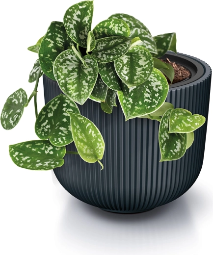 Vložka pre ľahkú výsadbu a lepšiu starostlivosť