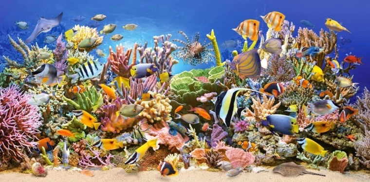 puzzle podmorský život 4000 dielikov CASTORLAND
