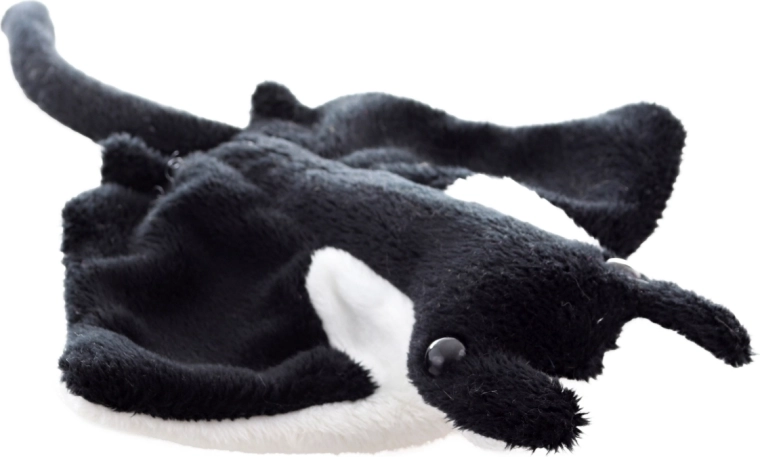 Realistický tvar manty raje