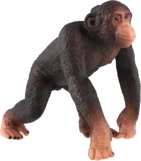 Kompaktná veľkosť 8 cm