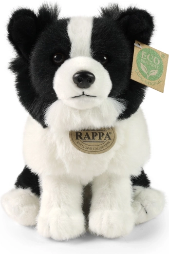 Realistické detaily border kólie