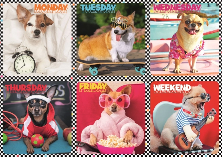 Puzzle 200 dielikov – veselé psy – Trefl