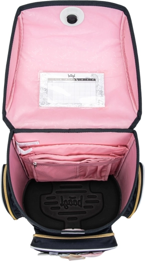 Chytrá organizácia s izolovaným vreckom