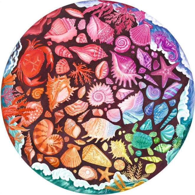 Puzzle paleta farieb mušle 500 dielikov