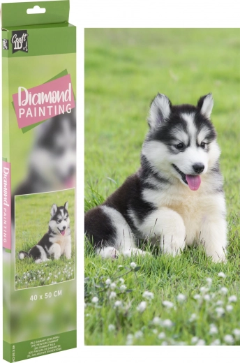 Diamantové maľovanie Husky 40 × 50 cm