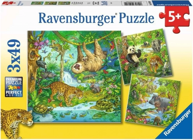 RAVENSBURGER Puzzle Zvieratá v džungli 3x49 dielikov