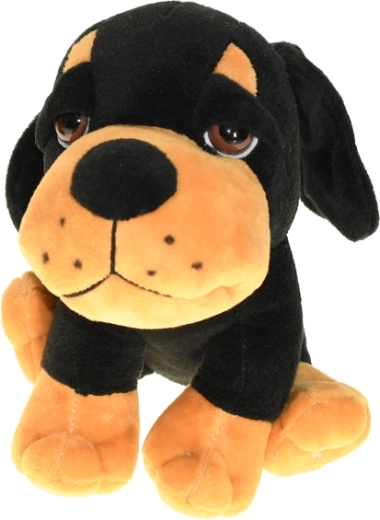 Viac farebných variantov