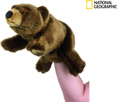 Maňuška medveď grizly National Geographic