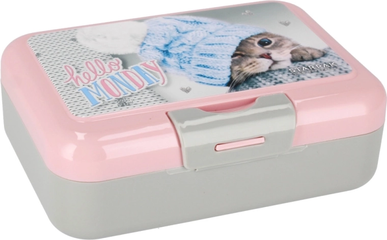 Bezpečný desiatový box