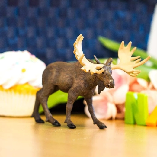 Na hru, učenie aj zbieranie