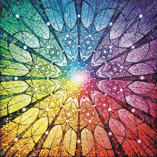 Puzzle Mandala života 1023 dielikov MAGNOLIA