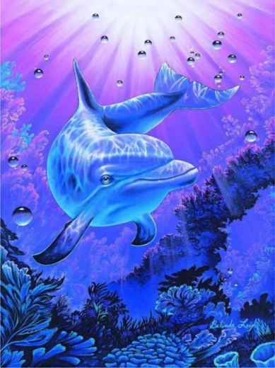Norimpex maľovanie podľa čísel Delfín 40 × 50 cm