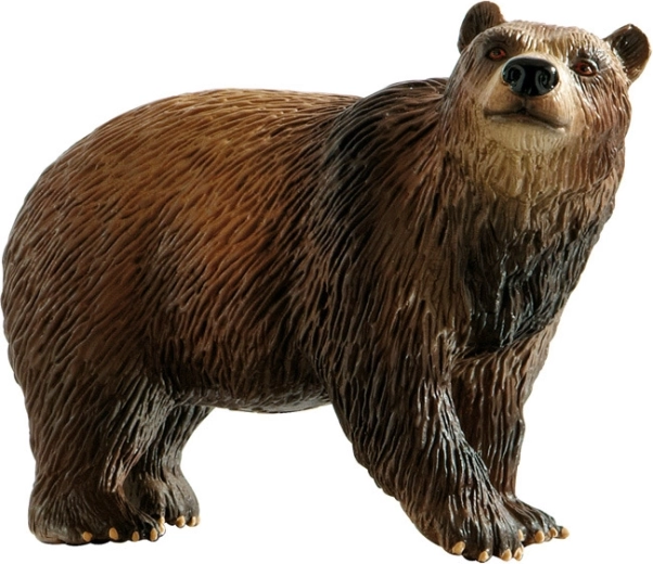 Hnedý medveď