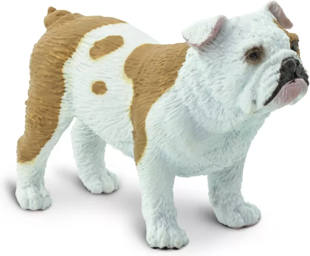 Safari Ltd. figúrka buldog - 1 kus